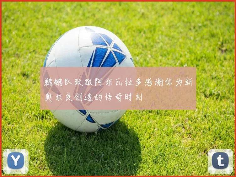 鹈鹕队致敬阿尔瓦拉多感谢你为新奥尔良创造的传奇时刻