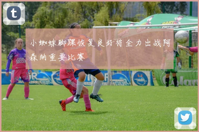 小蜘蛛脚踝恢复良好将全力出战阿森纳重要比赛